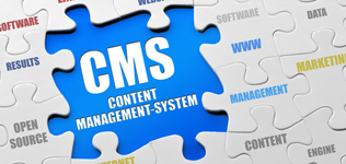 CMS Development