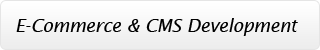 E-Commerce & CMS Development