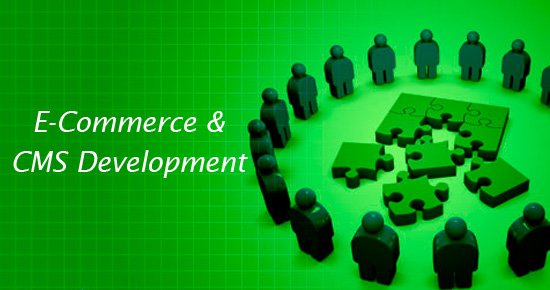 E-Commerce & CMS Development